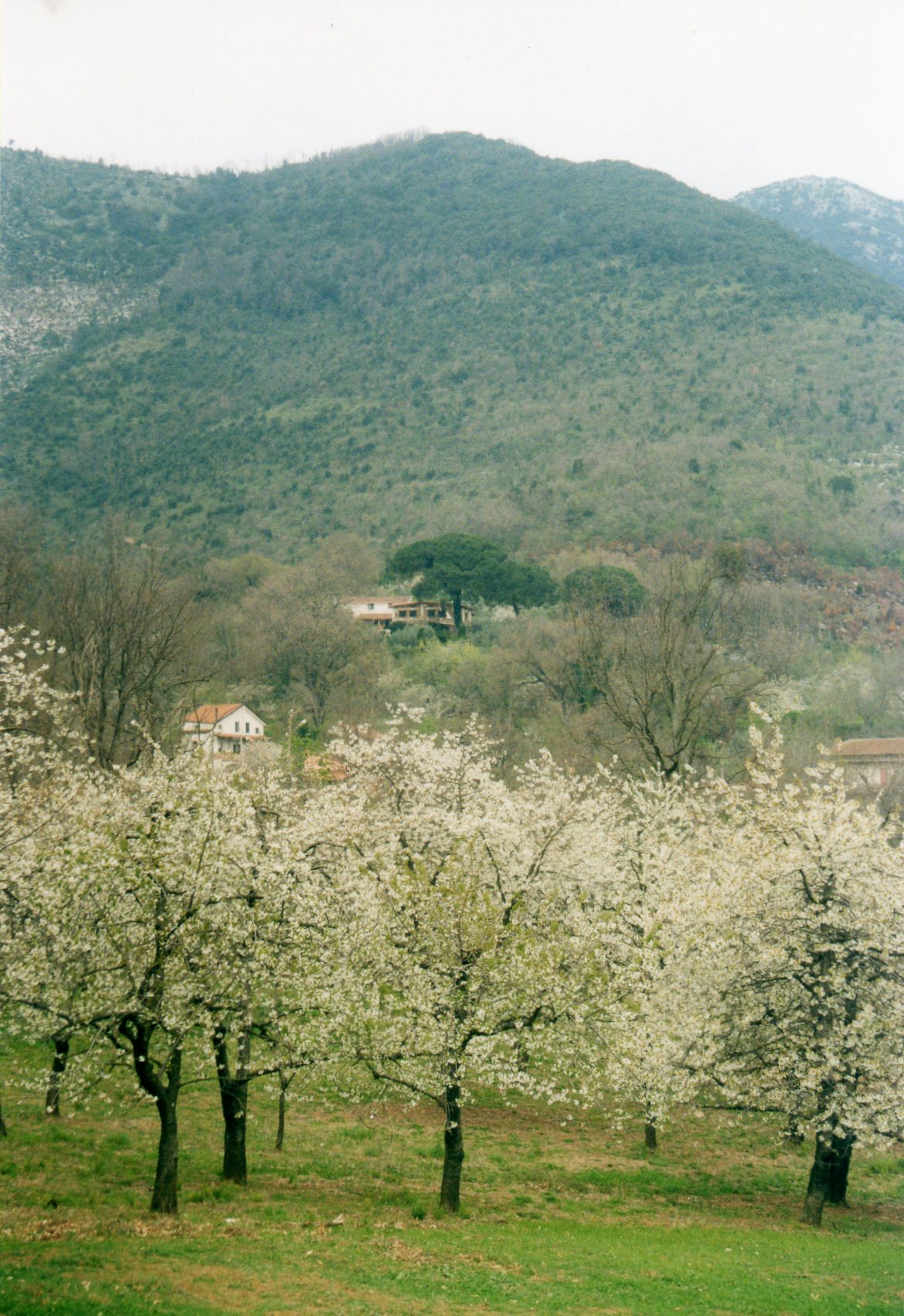 Agriturismo visto da Lutamale