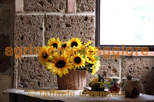 Agriturismo: immagine
