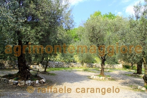Agriturismo: immagine