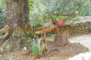 Agriturismo: immagine