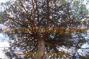 Agriturismo: immagine