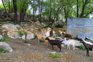 Agriturismo: immagine