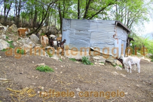 Agriturismo: immagine