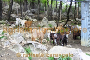 Agriturismo: immagine