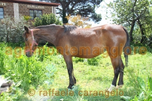 Agriturismo: immagine
