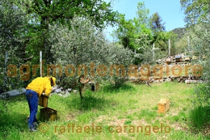 Agriturismo: immagine