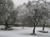 Agriturismo: immagine